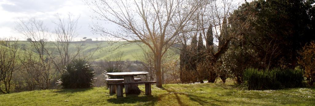 Agriturismo Castello Saltemnano Buonconvento Buitenkant foto
