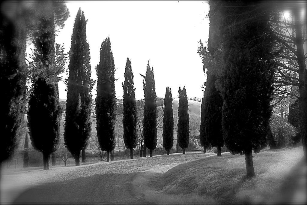 Agriturismo Castello Saltemnano Buonconvento Buitenkant foto