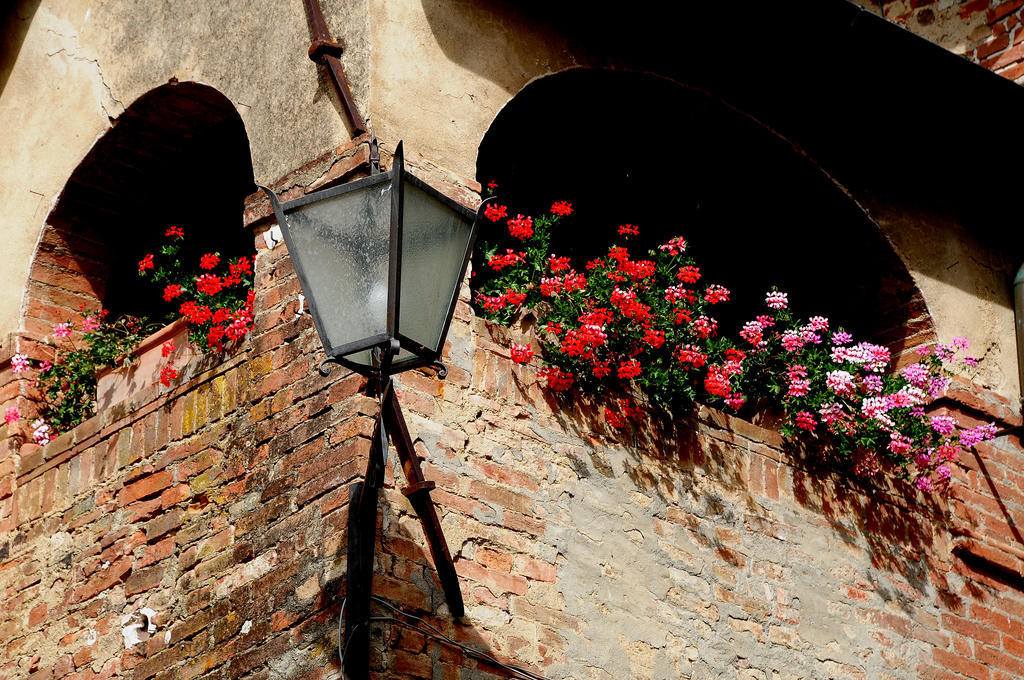 Agriturismo Castello Saltemnano Buonconvento Buitenkant foto
