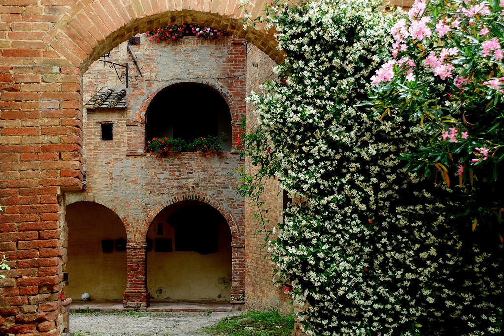 Agriturismo Castello Saltemnano Buonconvento Buitenkant foto